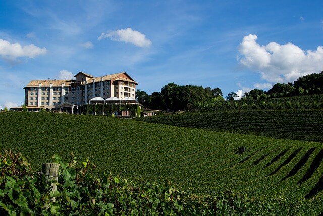 Exclusive Wine Tours